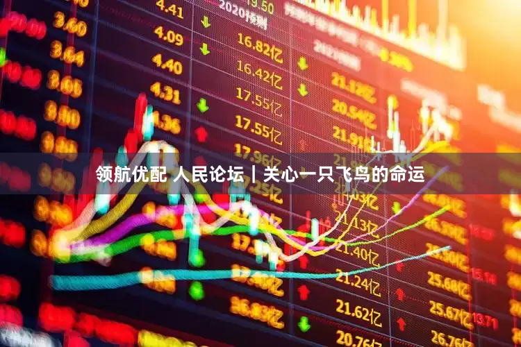 领航优配 人民论坛｜关心一只飞鸟的命运
