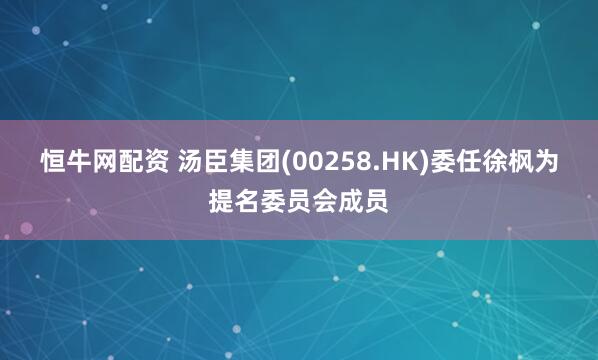 恒牛网配资 汤臣集团(00258.HK)委任徐枫为提名委员会成员